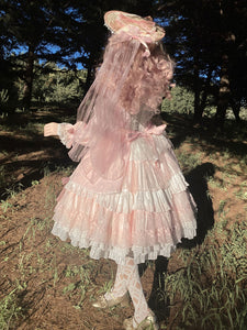 Sweet Lolita Dress Polyester Long Sleeves Dress
